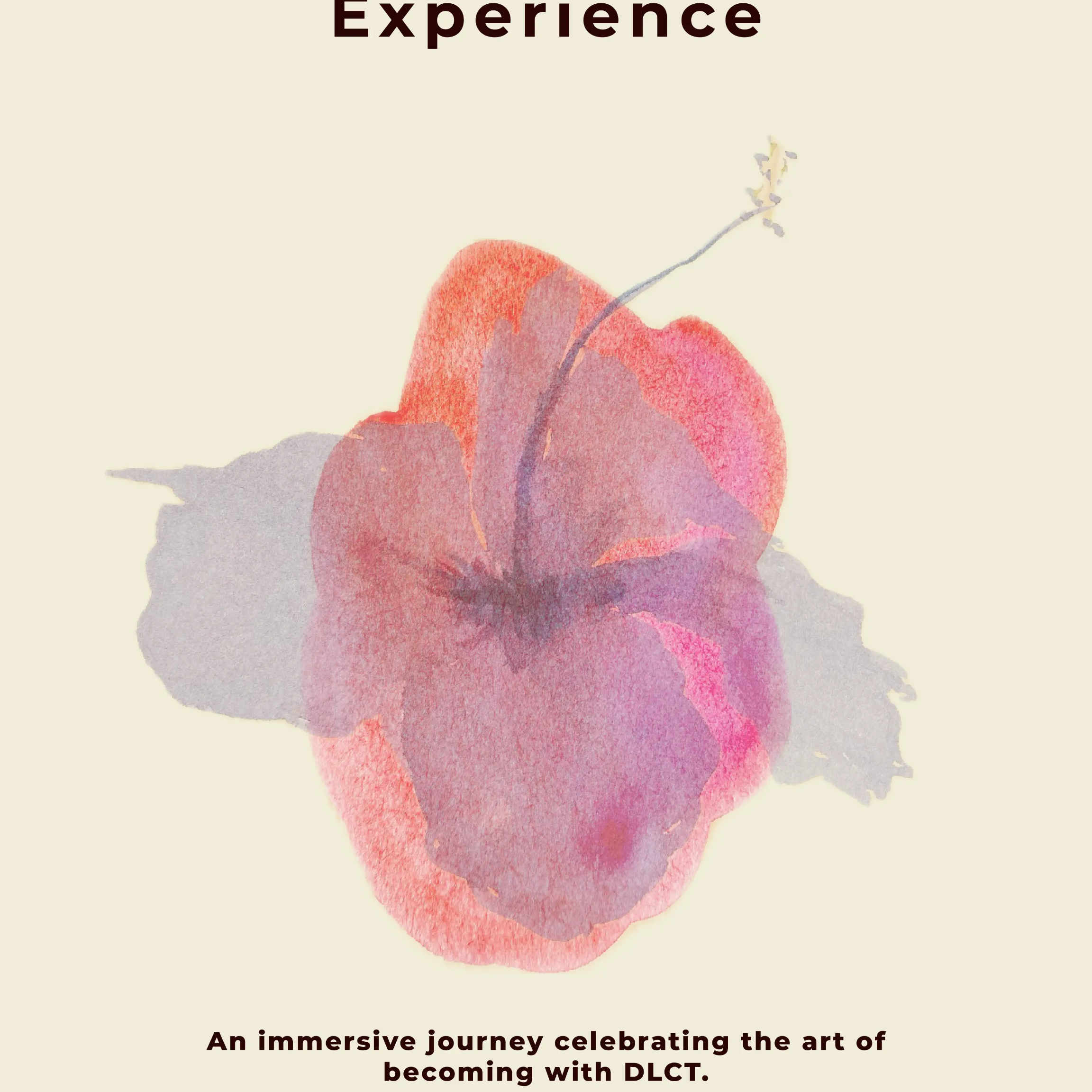 Where to Shop in Ghana This December: Discover DLCT’s Exclusive One-Day-Only Pop-Up Event