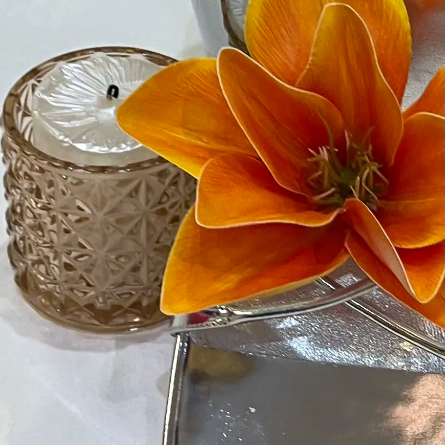 Catching Up with DLCT: Bold Moves Ahead